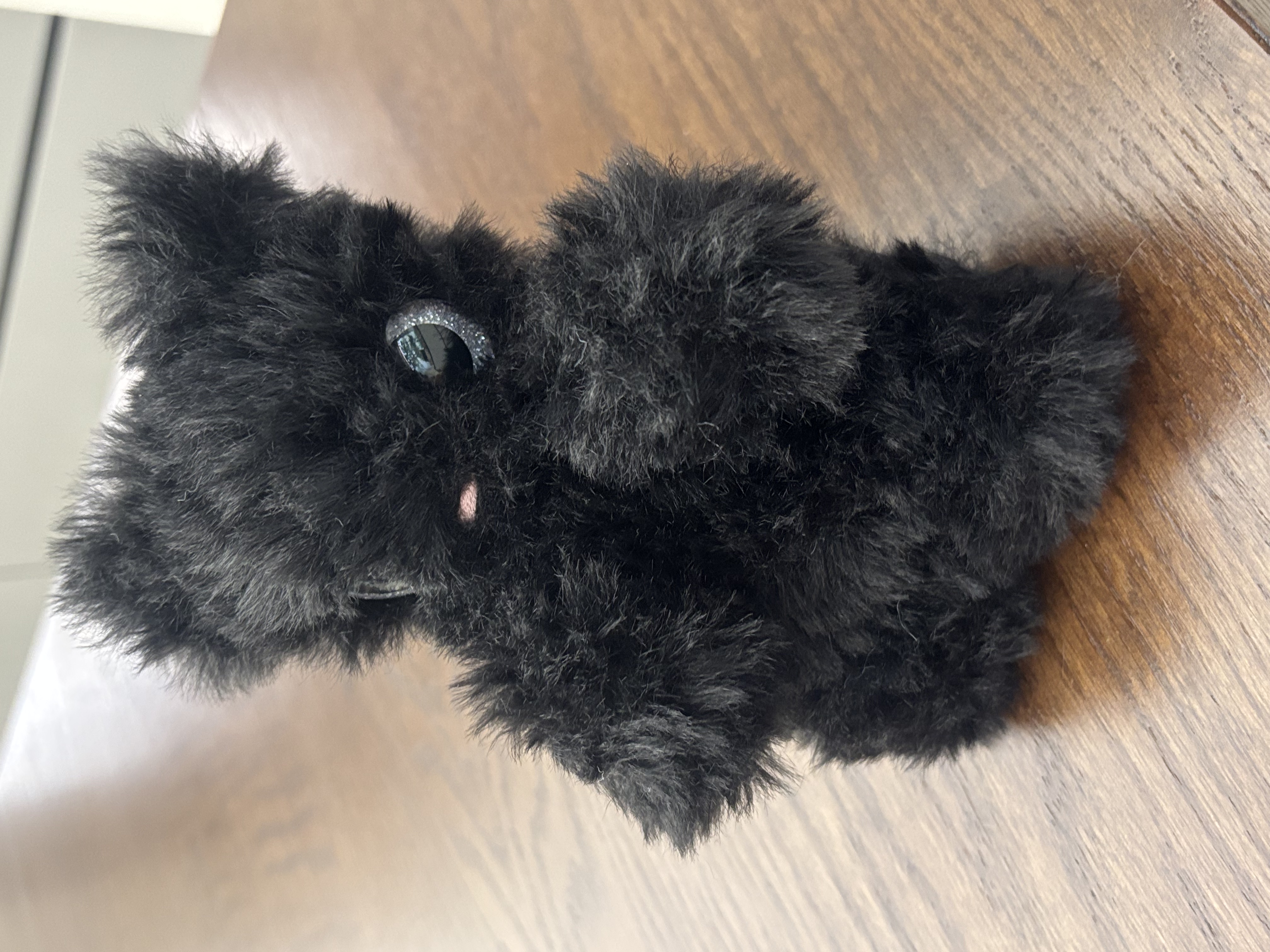 Black Cat 10